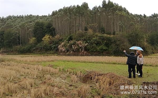 葵青区陈老师带着爱徒寻龙点穴